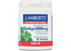 Lamberts Ginkgo Biloba Extract 6000 mg 30 tabs